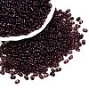 Picasso Spray Painted Glass Seed Beads SEED-T006-04-22-3