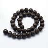 Natural Snowflake Obsidian Beads Strands G-I199-01-12mm-2