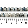 Natural Blue Ice Glacierite Stone Beads Strands G-H062-A04-02-5