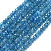 Natural Apatite Beads Strands G-G106-C06-04-1