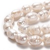 Natural Cultured Freshwater Pearl Beads Strands PEAR-L033-84-01-2