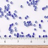 MIYUKI Delica Beads X-SEED-J020-DB0285-4