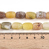 Natural Weathered Agate Beads Strands G-N344-42A-5