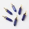 Natural Lapis Lazuli Double Terminated Pointed Pendants G-G902-B02-2