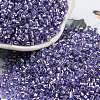 Glass Seed Beads SEED-S042-04A-08-1