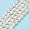 Natural Cultured Freshwater Pearl Beads Strands PEAR-J006-03A-2