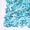 Shell Beads MRMJ-S034-06E-2