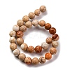 Dyed Natural Regalite/Imperial Jasper/Sea Sediment Jasper Beads Strands G-B124-C02-10-5