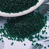 MIYUKI Delica Beads SEED-MY11-DB0713-1