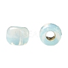 TOHO 11/0 Round Beads X-SEED-TR11-PF2118-4