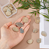 10Pcs Natural Ice Obsidian Display Decorations G-WH0030-53-3