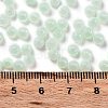 Glass Seed Beads X1-SEED-M011-02A-14-4