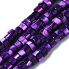 Natural Trochus Shell Beads Strands SHEL-S278-027-5