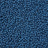 11/0 Grade A Baking Paint Glass Seed Beads X-SEED-N001-A-1013-2