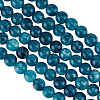3 Strands Natural Apatite Beads Strands G-OC0003-01-1