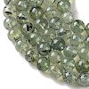 Natural Prehnite Beads Strands G-G474-A01-12mm-4
