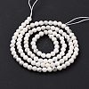 Natural Howlite Beads Strands G-H273-02B-4