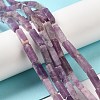 Natural Lepidolite/Purple Mica Stone Beads Strands G-E612-C05-B-2