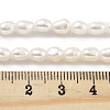 Natural Keshi Pearl Cultured Freshwater Pearl Beads Strands PEAR-P062-25D-5