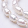 Natural Cultured Freshwater Pearl Beads Strands PEAR-P002-23-3