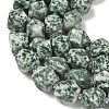 Natural Green Spot Jasper Beads Strands GG-CBAF8A8-A01-01-4