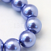Baking Paint Pearlized Glass Pearl Round Bead Strands HY-Q003-6mm-09-3