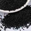 MIYUKI Round Rocailles Beads SEED-G009-RR0401-1