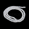 Transparent Glass Beads Strands EGLA-A044-T4mm-MB19-4