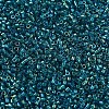 MIYUKI Delica Beads SEED-MY11-DB1764-3