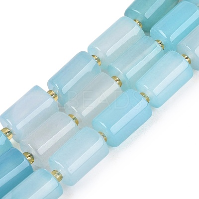 Natural Agate Beads Strands G-N362-20A-04-1