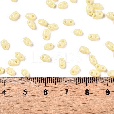 Baking Paint Glass Seed Beads SEED-T006-03B-1