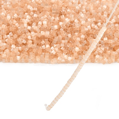 MIYUKI Delica Beads X-SEED-J020-DB0674-1