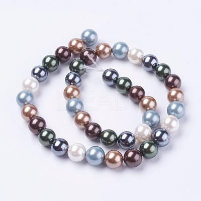 Shell Pearl Beads Strands BSHE-L035-6mm-I14-1