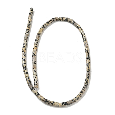 Natural Dalmatian Jasper Beads Strands G-B091-A19-01-1