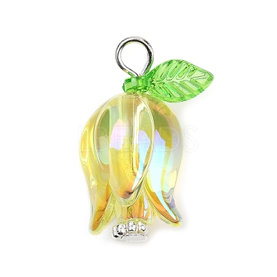 Acrylic Pendants PALLOY-JF03534-02-1