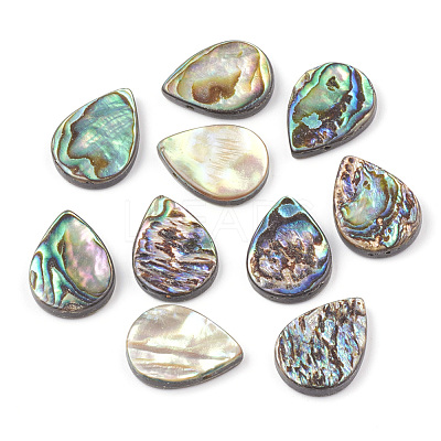 Abalone Shell/Paua Shell Beads SHEL-T005-02-1