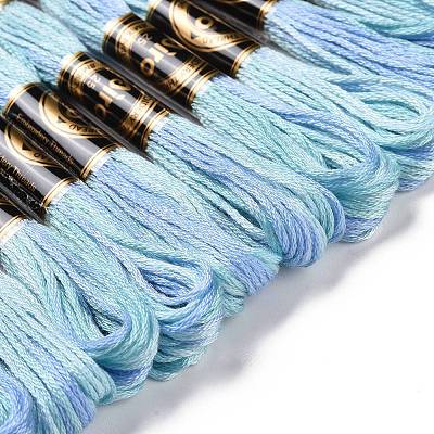 10 Skeins 6-Ply Polyester Embroidery Floss OCOR-K006-A11-1