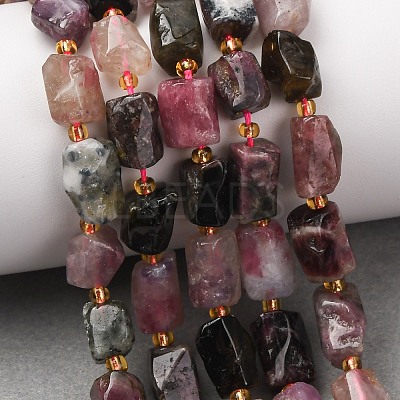 Natural Multicolor Tourmaline Beads Strands G-D110-H02-02-1