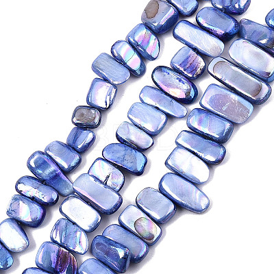 Natural Freshwater Shell Beads Strands X-SHEL-N026-123G-1
