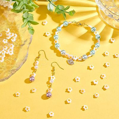 Natural White Shell Beads Strands SHEL-OC0001-02-1