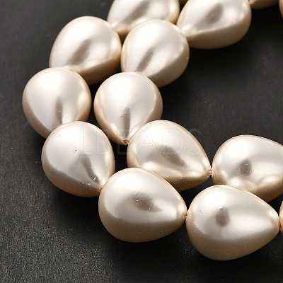 Electroplate Shell Pearl Beads Strands BSHE-G010-16x20mm-01-1