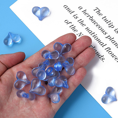 Transparent Acrylic Beads X-MACR-S373-70-B10-1