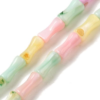 Rainbow Color Dyed Natural Freshwater Shell Beads Strands X1-SHEL-G018-02C-1
