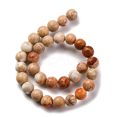 Dyed Natural Regalite/Imperial Jasper/Sea Sediment Jasper Beads Strands G-B124-C02-10-1