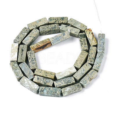 Natural Variscite Beads Strands G-T141-108-1