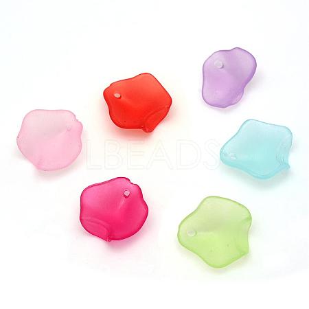 Transparent Acrylic Charms FACR-Q009-13-1