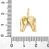 304 Stainless Steel Pendants STAS-U049-04A-03G-3