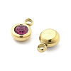 304 Stainless Steel Charms STAS-Z115-01G-3