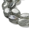 Natural Labradorite Beads Strands X-G-L164-A-34-4