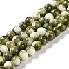 Baking Paint Glass Bead Strands GLAA-H031-01C-14-1
